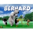 (1024768, 97 Kb)  Bernard   -       ,  - 