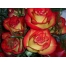 (1024х768, 228 Kb) Букет красно желтых роз - большие картинки на рабочий стол и обои, тема - цветы