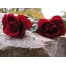 (1024х768, 163 Kb) Две красные розы лежащие на камне - скачать обои, гламурный рабочий стол, цветы