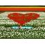 (1024х768, 274 Kb) Сердце из красных тюльпанов - бесплатные фото на рабочий стол и картинки, цветы