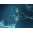 (1600х1200, 125 Kb) нейроны, заставки на рабочий стол и прикольные картинки
