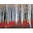 (1600х1200, 740 Kb) Осиновый лес - Wasatch Mountains - Юта, новейшие обои на рабочий стол и картинки
