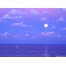 (1600х1200, 159 Kb) Очаровательная луна, обои, картинки и фото скачать бесплатно