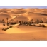 (1600х1200, 286 Kb) Пустынный оазис, скачать картинки и обои на рабочий стол