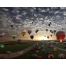 (1280х1024, 380 Kb) Воздушные шары - картинки бесплатно на рабочий стол и обои
