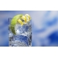 (1920х1200, 260 Kb) Вода с лимоном - картинки и широкоформатные обои для рабочего стола бесплатно