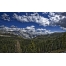 (1680х1050, 745 Kb) Облака над горным лесом - картинки и прикольные обои на рабочий стол