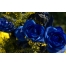 (1280х800, 146 Kb) Синии розы обои для рабочего стола высокого разрешения