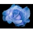 (1600х1200, 420 Kb) Нежно-голубая роза картинки и качественные обои на рабочий стол