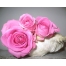 (1280х1024, 216 Kb) Три розы.  Цветы большие обои и картинки для рабочего стола