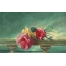 (1280х800, 155 Kb) Живописные розы красивые обои и фото установить на рабочий стол