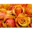 (1600х1200, 325 Kb) Желтая Роза Оранжевая - картинки, заставки на рабочий стол бесплатно