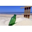 (1280х800, 143 Kb) Пустынный пляж скачать бесплатно картинки на комп и обои