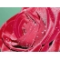 (1024х768, 223 Kb) Роза картинки, обои и фоновые рисунки для рабочего стола бесплатно