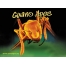 (1024768, 66 Kb) Guano Apes ,     