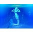 (1024х768, 168 Kb) Большая подводная русалка - скачать фото на рабочий стол и обои, тема - 3D-графика